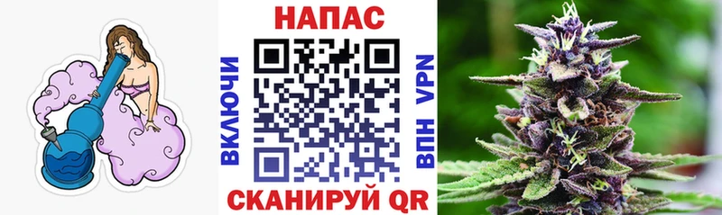 Марихуана Amnesia Ноябрьск